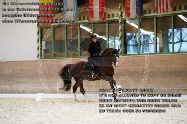 s_K3F02477.JPG